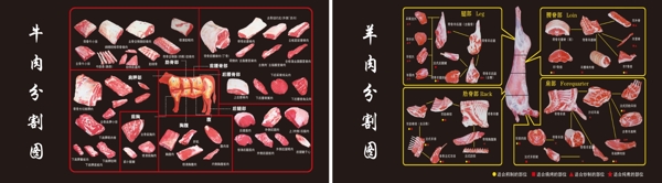 牛肉分割图海报羊肉分割图海报