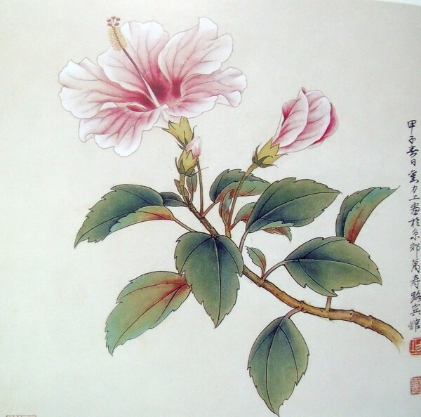 彩色鲜花插画图片