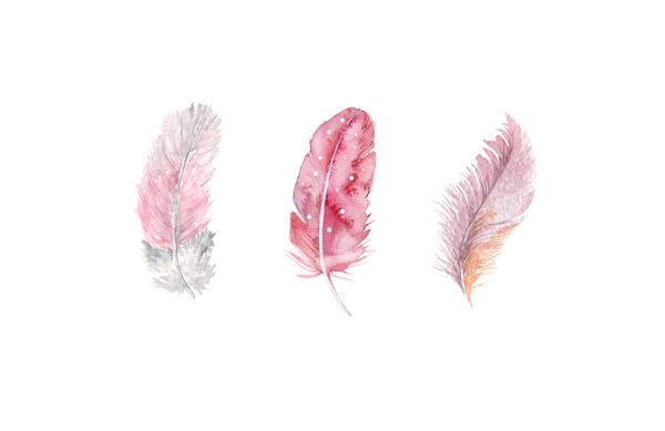 高清北欧风格三根粉色的羽毛