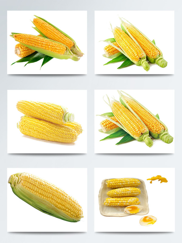 玉米高清实物图案集合