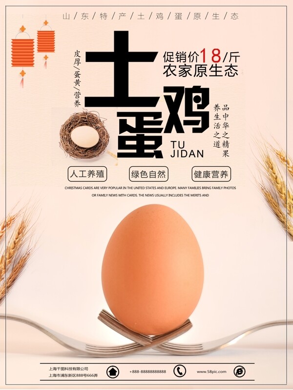 小清新唯美土鸡蛋土特产美食海报