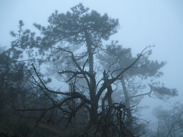 烟雨庐山