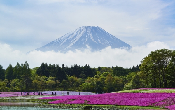 富士山下