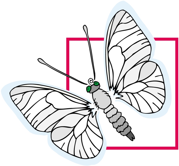 五彩蝴蝶矢量素材EPS格式0276