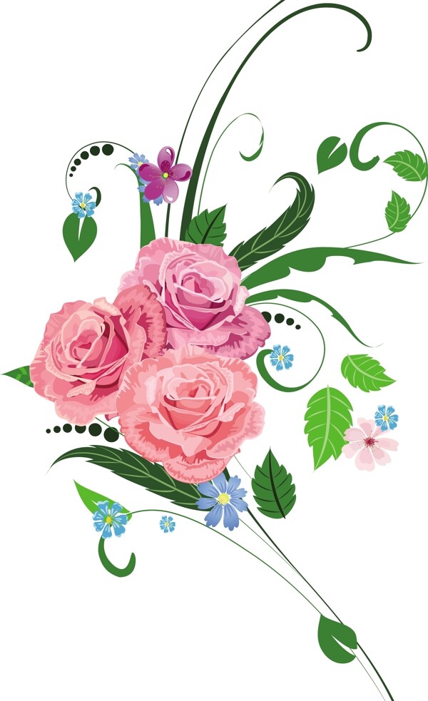 鲜花和绿叶粉色的玫瑰花