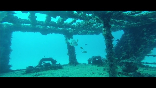 海底探险视频素材