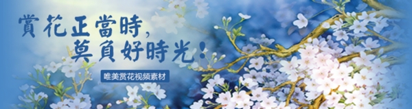 花卉春天蓝色清新商业海报设计