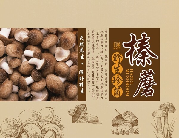 榛蘑食品野生产品包装背景