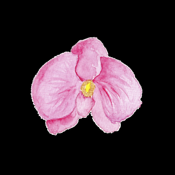 粉色蝴蝶花时尚巴黎卡通透明素