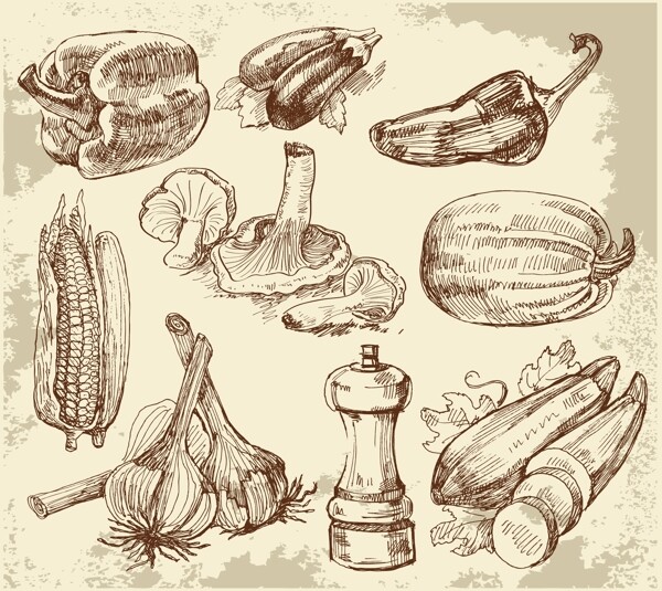 素描厨房用品蔬菜