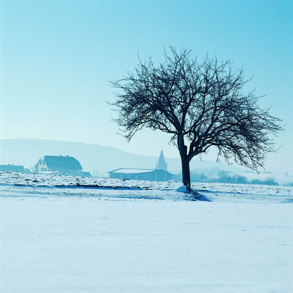 冬天雪景