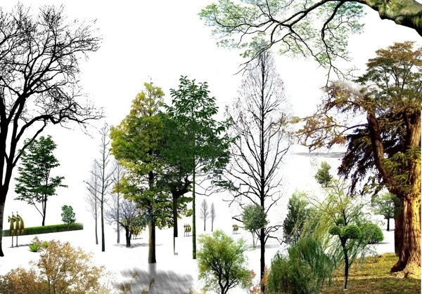园林景观花草树林鸟瞰透视效果图PSD分层18图片