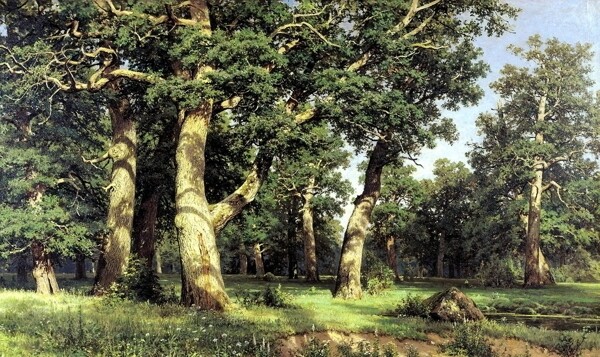 希什金油画橡树林图片