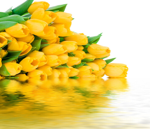 唯美水中黄色花束
