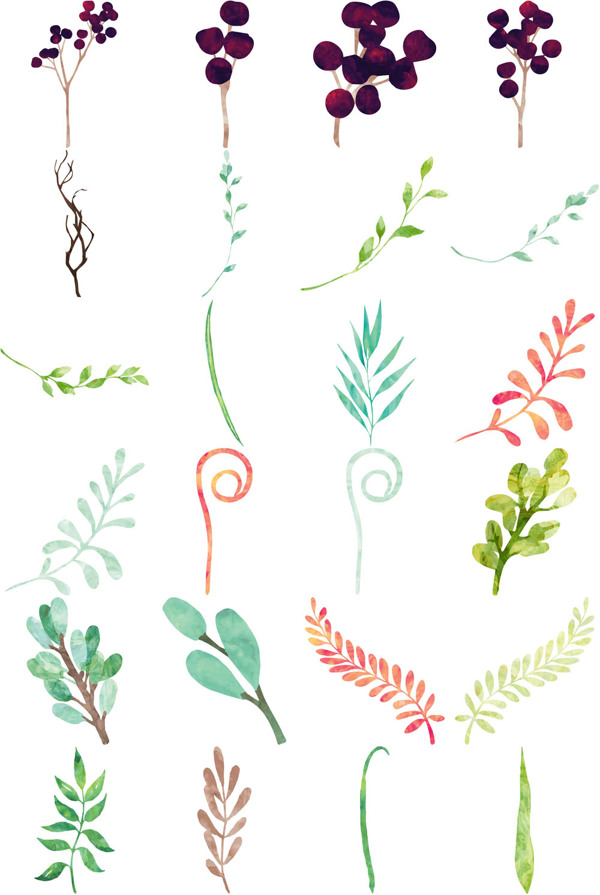 手绘艺术植物植物