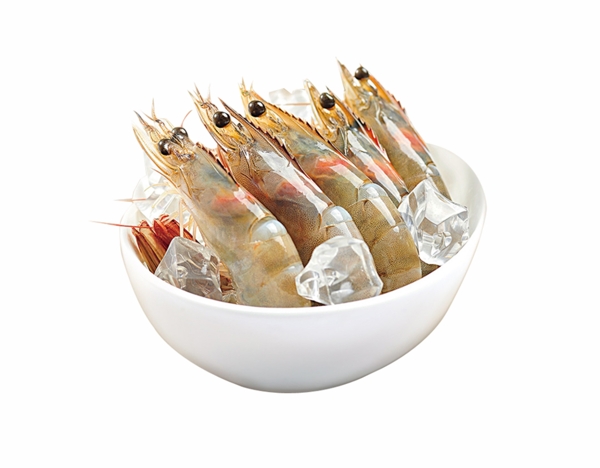一碗冰块虾海鲜食物美味动物素材