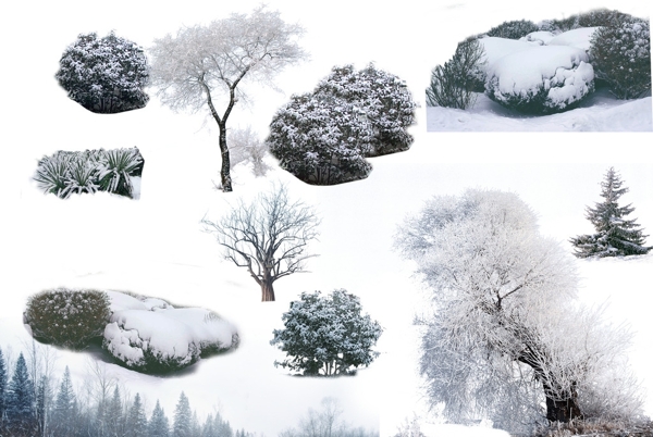 园林效果图雪景植物ps素材