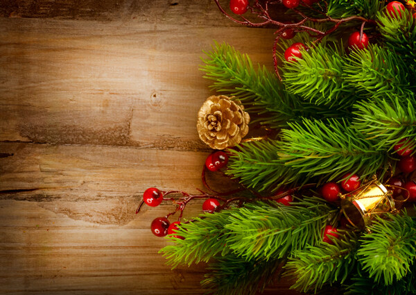 圣诞树枝和木板图片