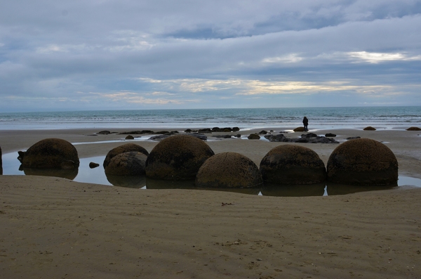 新西兰摩拉基大圆石