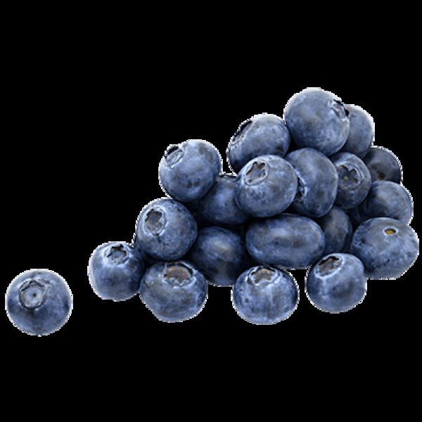 蓝莓png素材