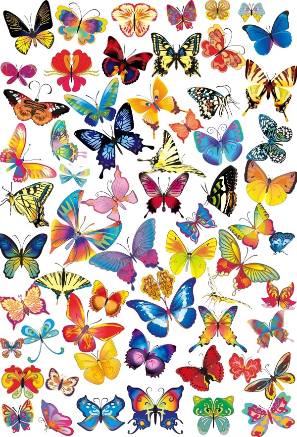 各种蝴蝶矢量图片
