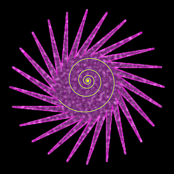 spiral024