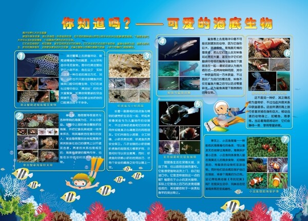 海底生物展板图片
