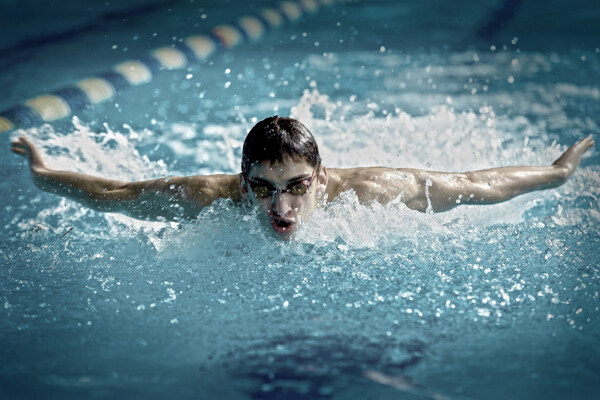 游泳比赛的运动员摄影图片