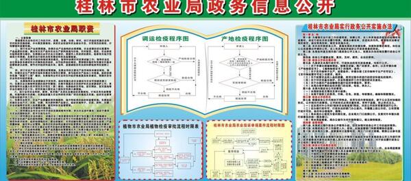 政务公开版报图片