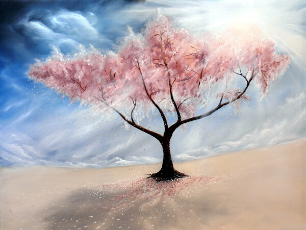 樱花树阳光下的樱花树沙漠里的樱花树