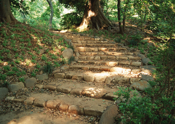 石阶梯风景摄影图片