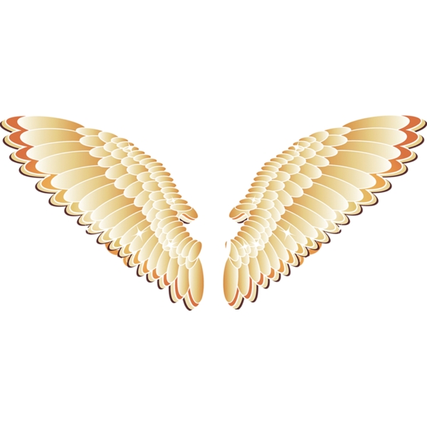 天使翅膀PSD素材