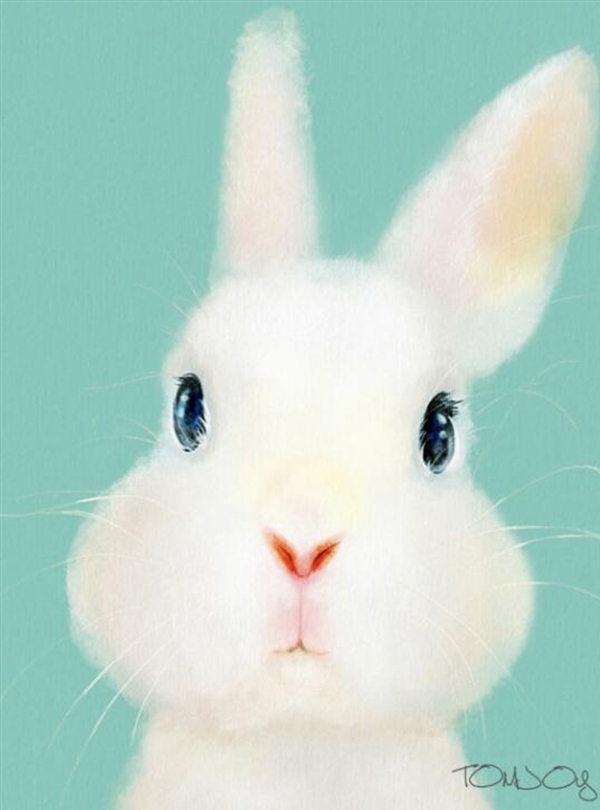 卡通装饰画小白兔