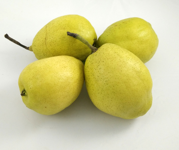 库尔勒香梨水果