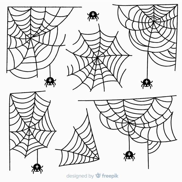 意蜘蛛网和蜘蛛