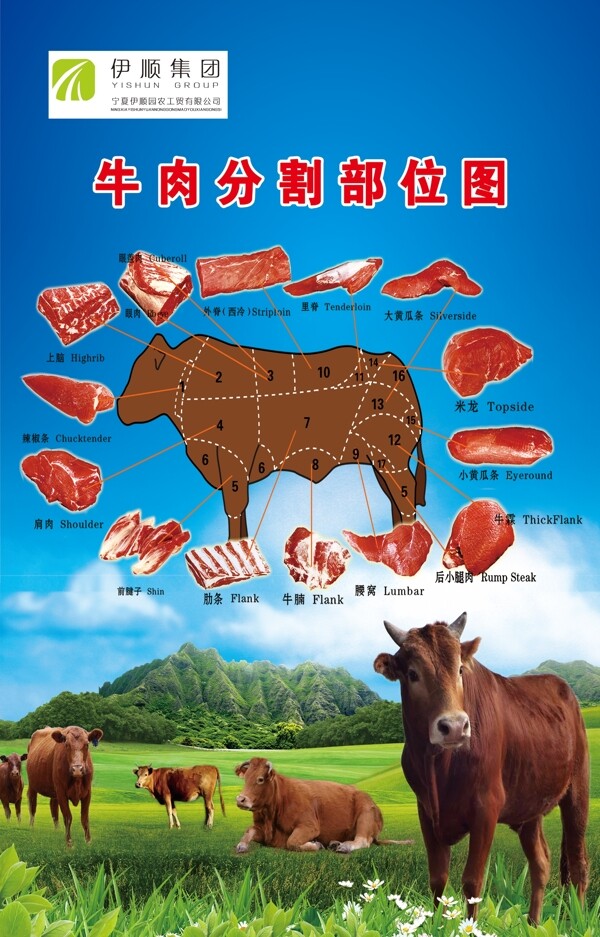 牛肉分割部位图