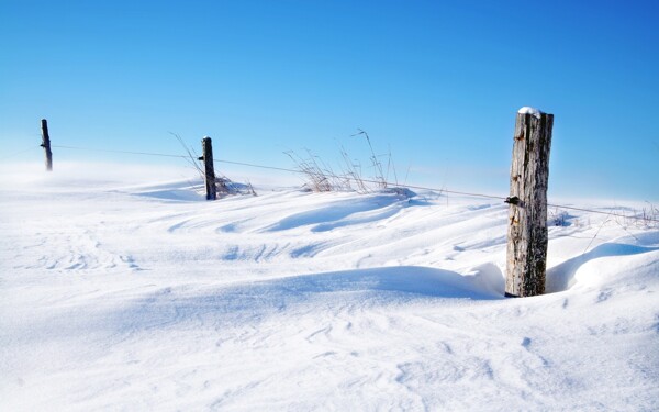 雪地