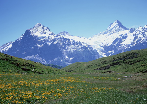 山景风光