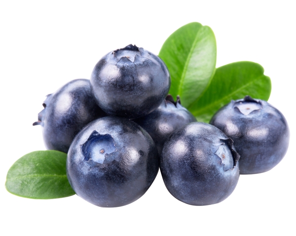 蓝莓高质量免扣