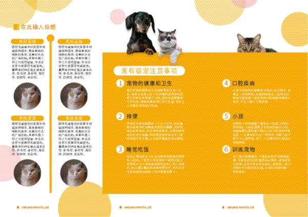 可爱小清新波点猫狗宠物店宣传三折页