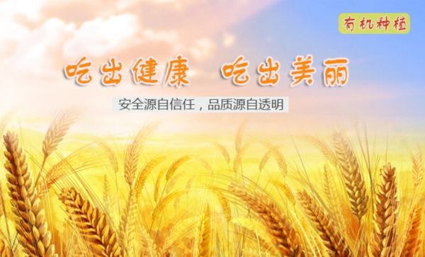 banner农产图片