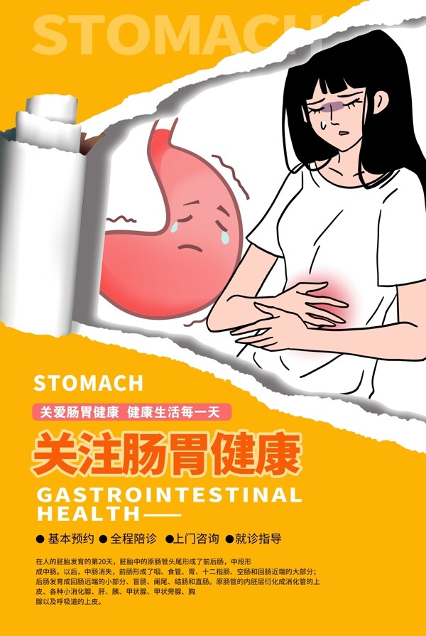 肠胃健康海报