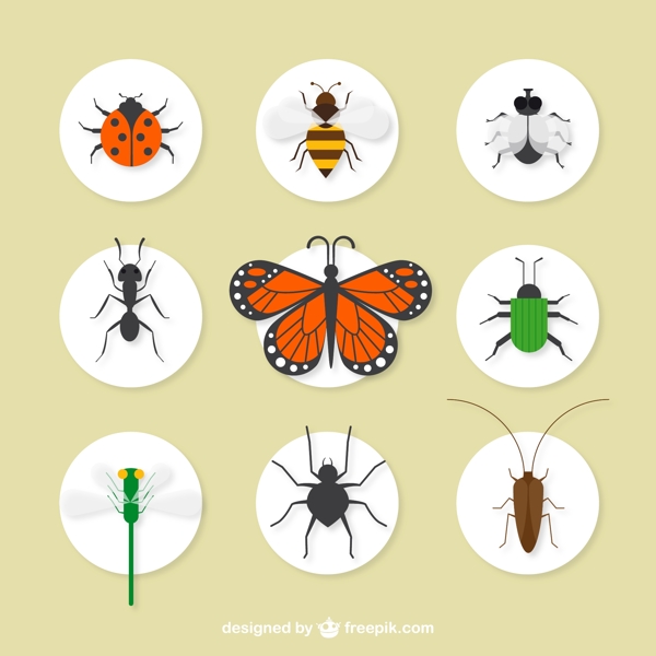 9款精致昆虫图标矢量素材