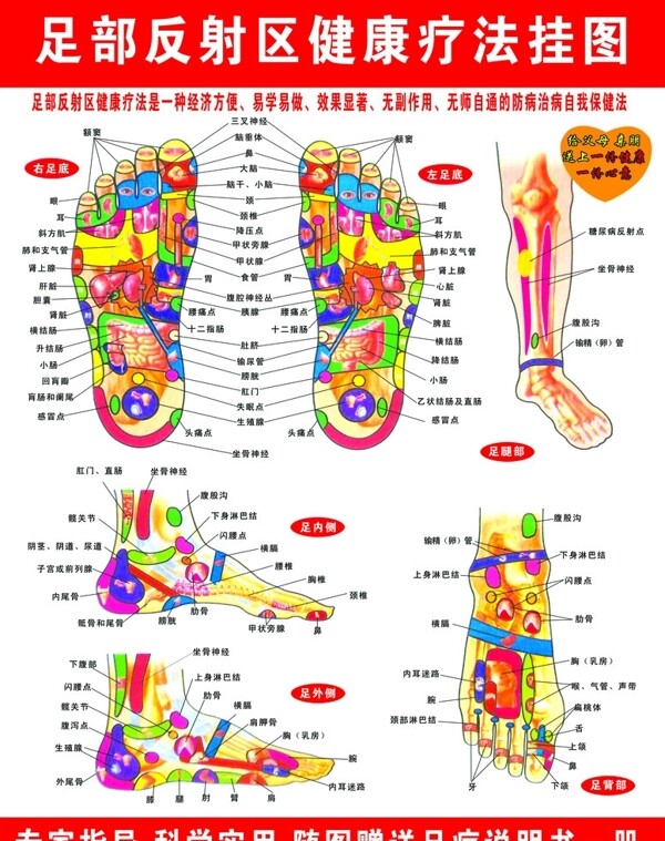 足部健康疗法图图片