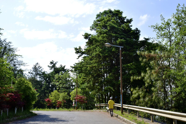 山路景观图片