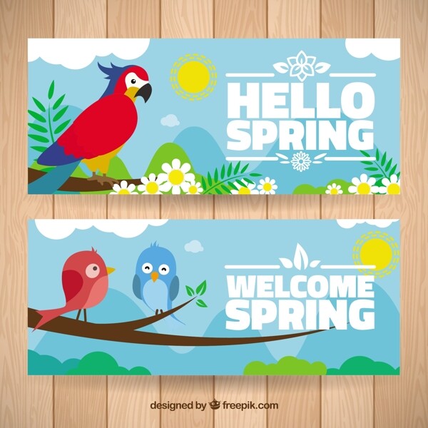 鹦鹉和可爱的鸟春天的旗帜