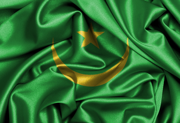 毛里塔尼亚国旗图片