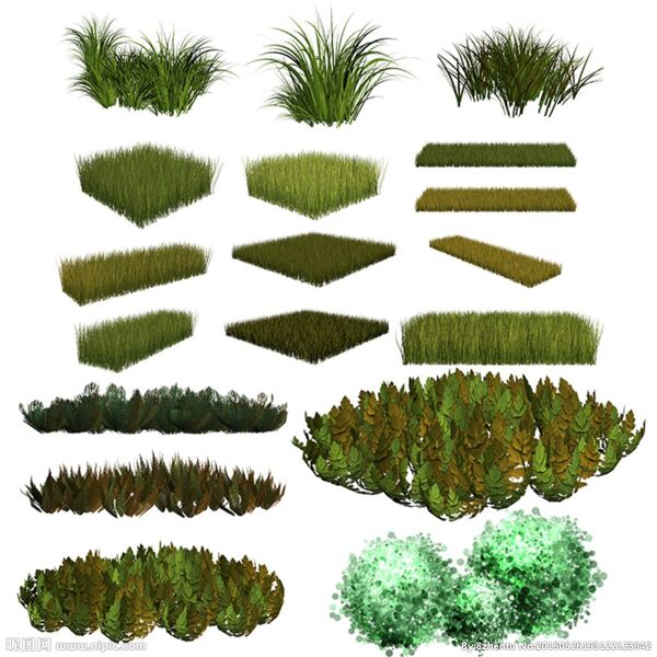 草素材绿色草植物素材写实植物素