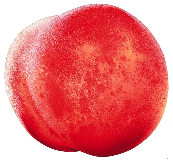 红桃子水蜜桃图片桃子素材