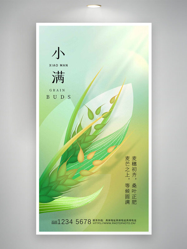 麦穗初齐桑叶正肥麦穗插画小满节气海报